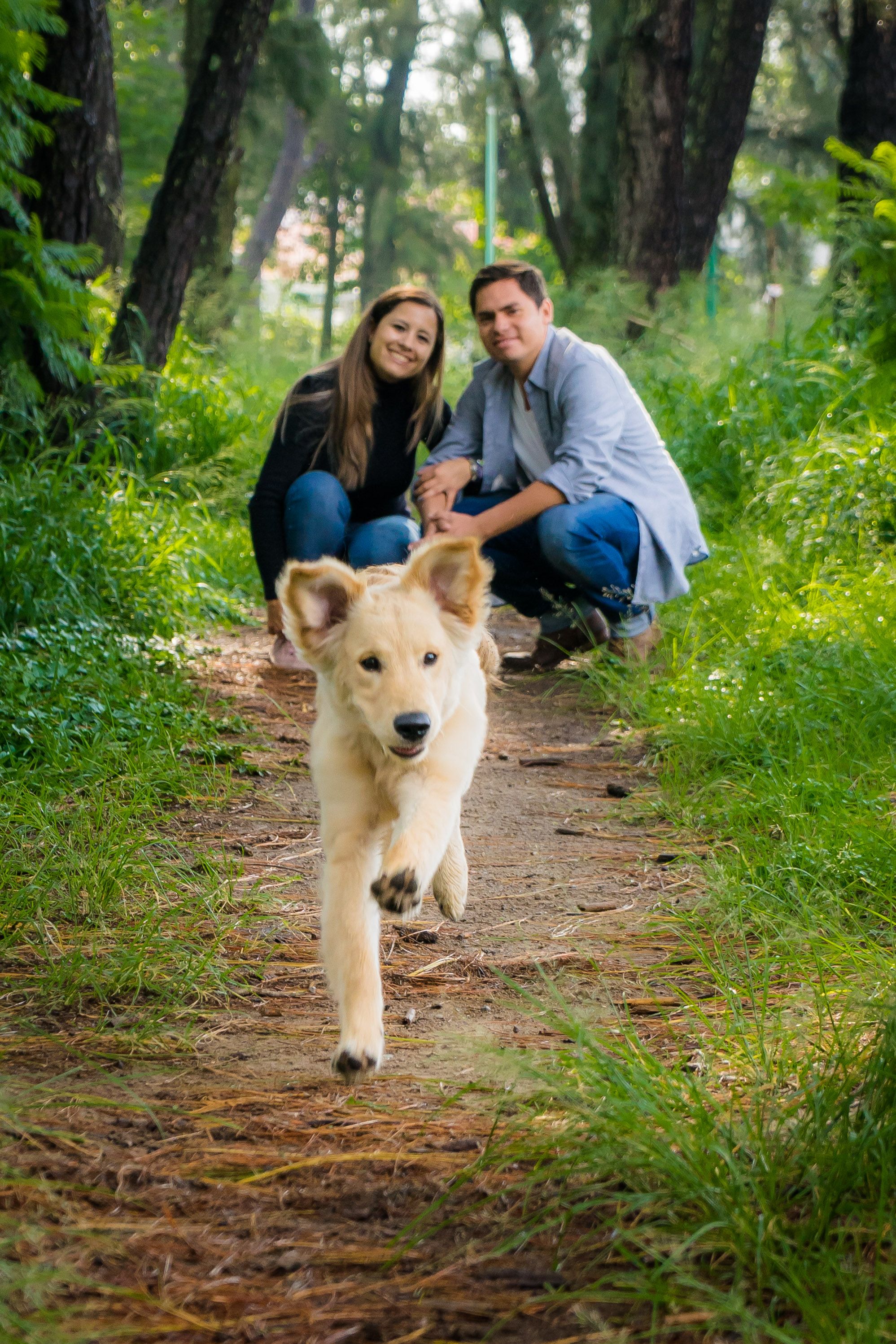 Man and Woman with Dog in Forest · Free Stock Photo