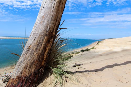 Foto stok gratis arcachon, dune du pyla