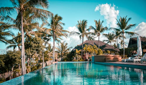 Free Swimming Pool Surrounded by Palm Trees Stock Photo