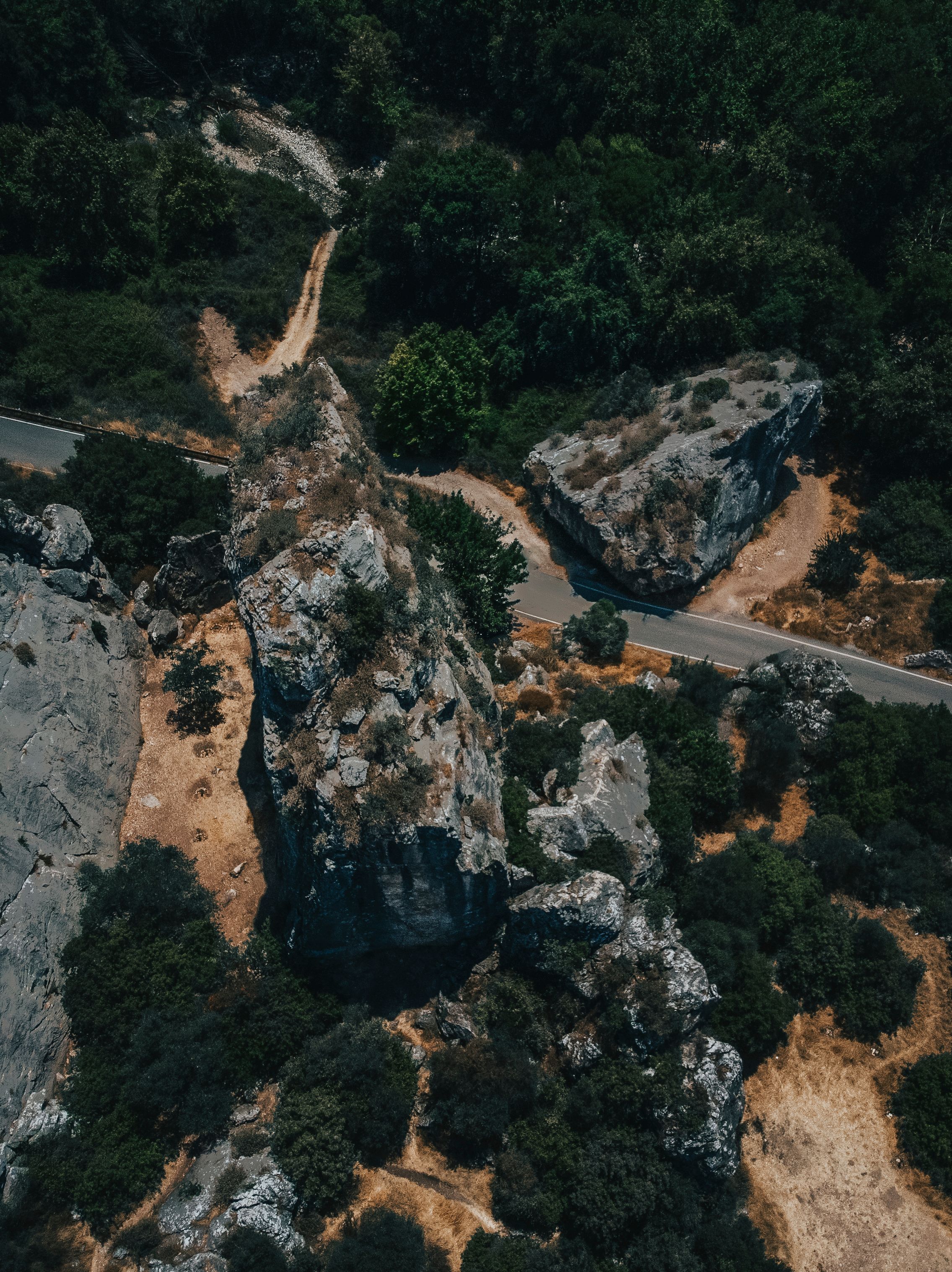 Aerial View of Green Trees on the Mountain · Free Stock Photo
