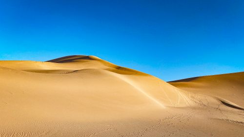 Free Vast golden sand dunes stretch under a vibrant blue sky, capturing desert serenity. Stock Photo