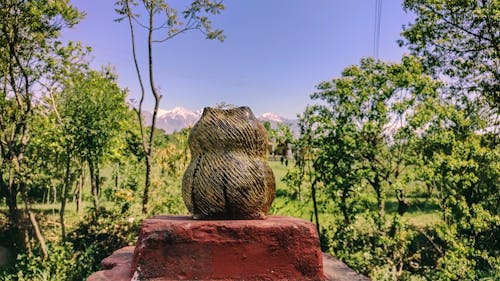 Free stock photo of himalayas, landscape, outdoor vase