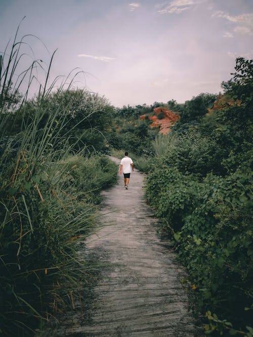 Man Waling on a Pathway Between Wild Plants