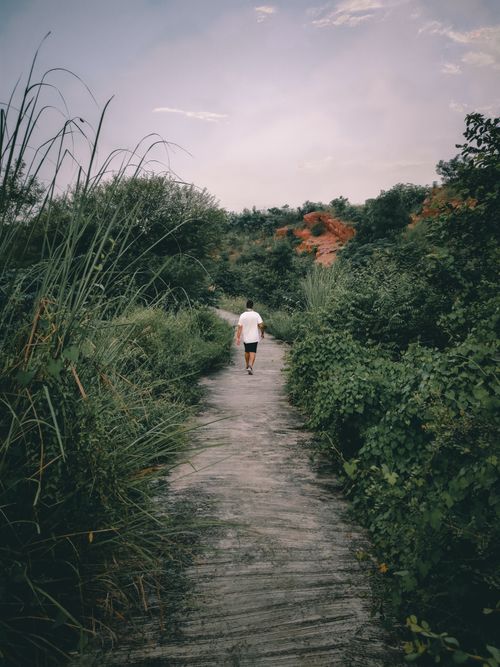 Free A person walks down a wooded pathway surrounded by lush green vegetation, capturing a sense of solitude and nature. Stock Photo