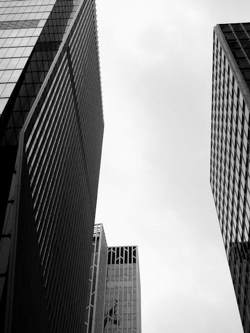 From below black and white of contemporary high multistory houses located in downtown against cloudless sky in modern district in city