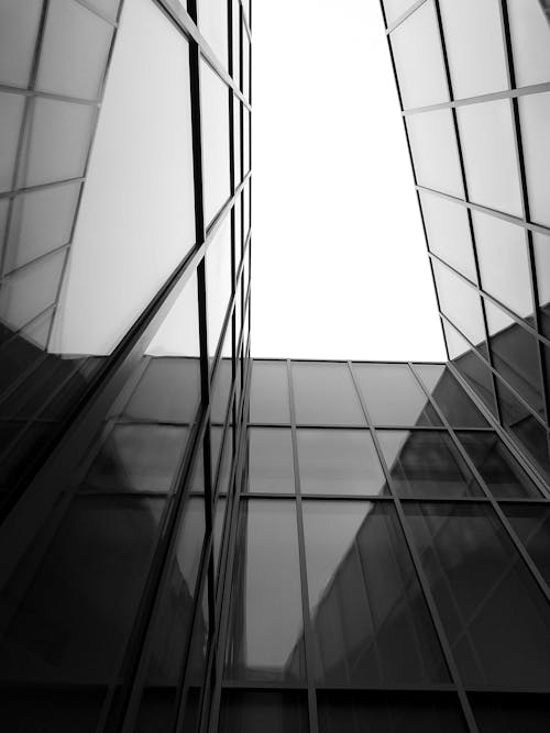 Black and white from below of tall contemporary building exterior with glass windows and walls under bright cloudless sky in daytime