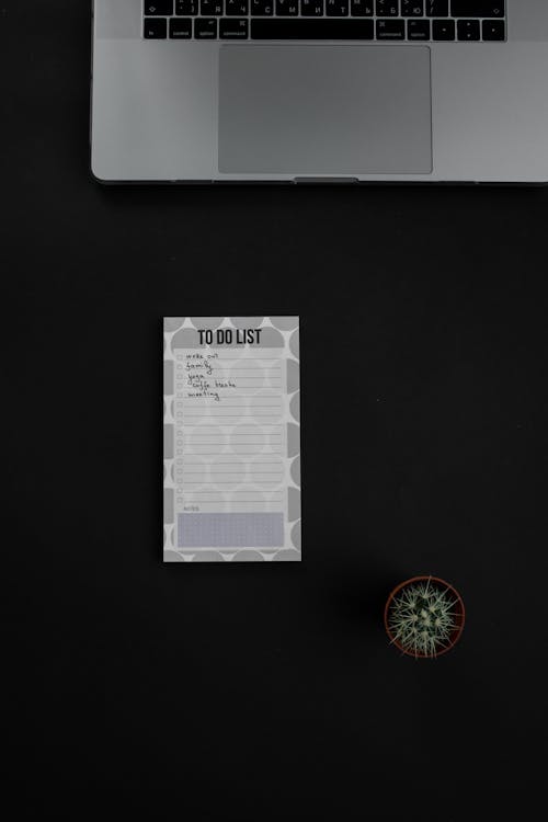 Darmowe zdjęcie z galerii z czarne tło, kaktus, laptop
