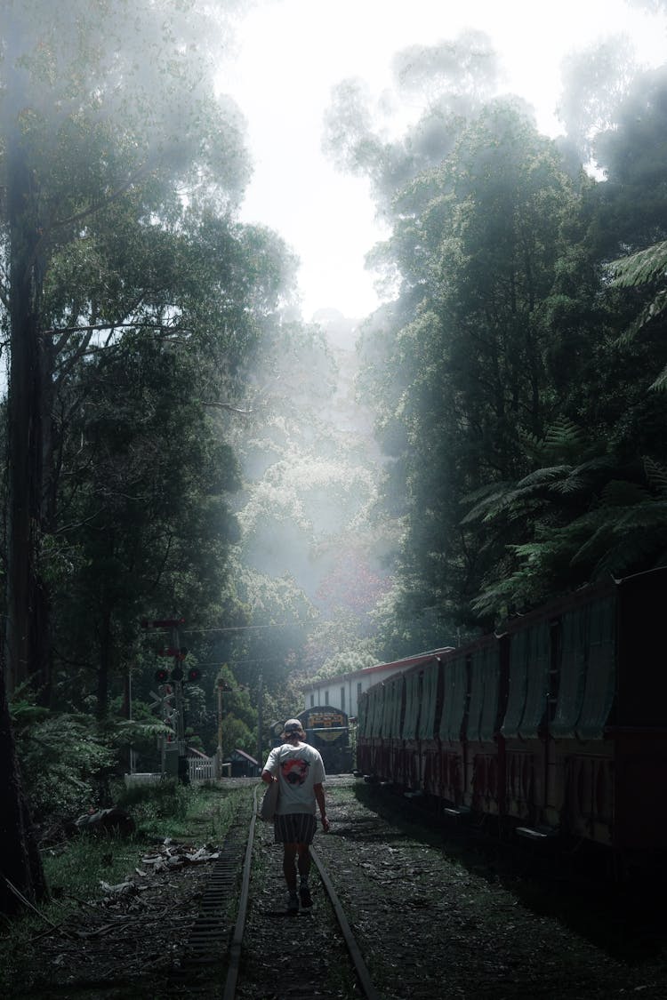 Person Walking On Train Tracks