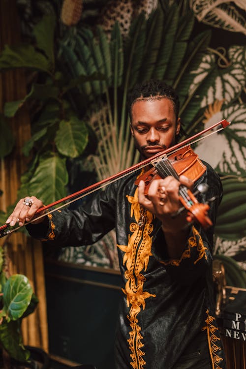 Free Photo Of Man Playing Violin Stock Photo