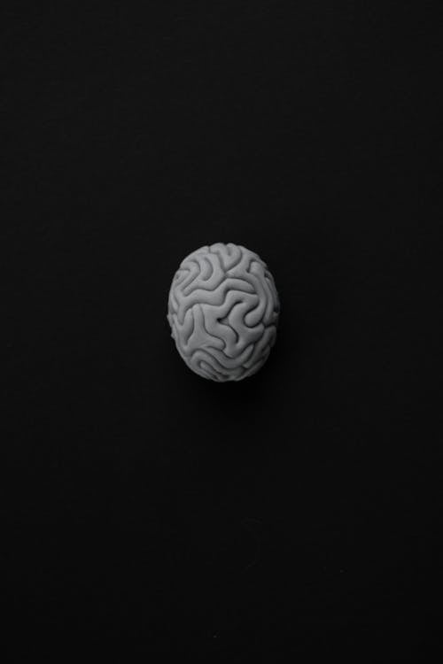 Imagine de stoc gratuită din alb-negru, creier, fotografiere verticală