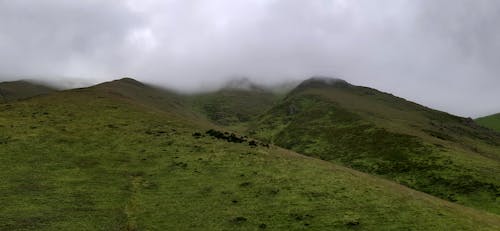 Foggy Green Hills