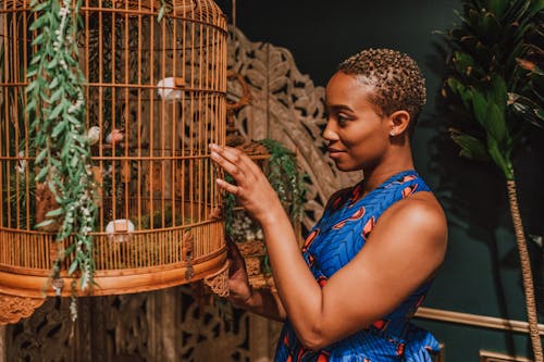 Free Woman in Blue Dress Looking At Birds In A Cage Stock Photo