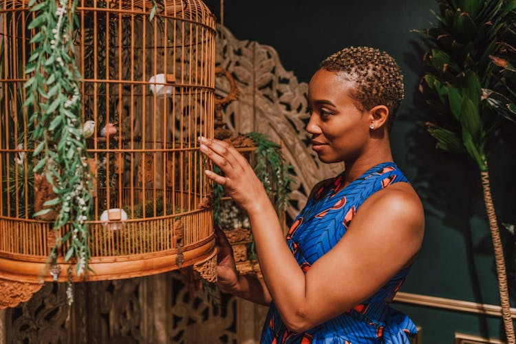 Woman In Blue Dress Looking At Birds In A Cage