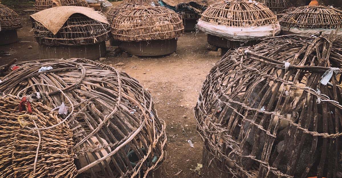 Photo by Tope J. Asokere Photo capturing traditional woven baskets in an open-air market setting.