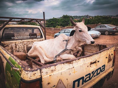 創業者の書道作品
