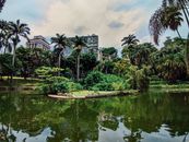 A Pond of Water in a Arboretum Park