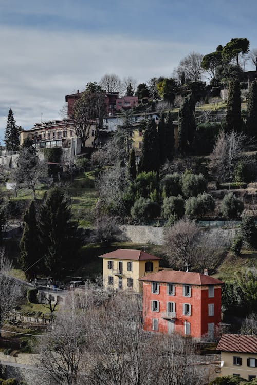 Edificio In Cemento Marrone Vicino Alberi Verdi