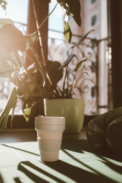 Free Sunlight casting shadows on a ceramic cup and potted plant near a window with artistic railings. Stock Photo