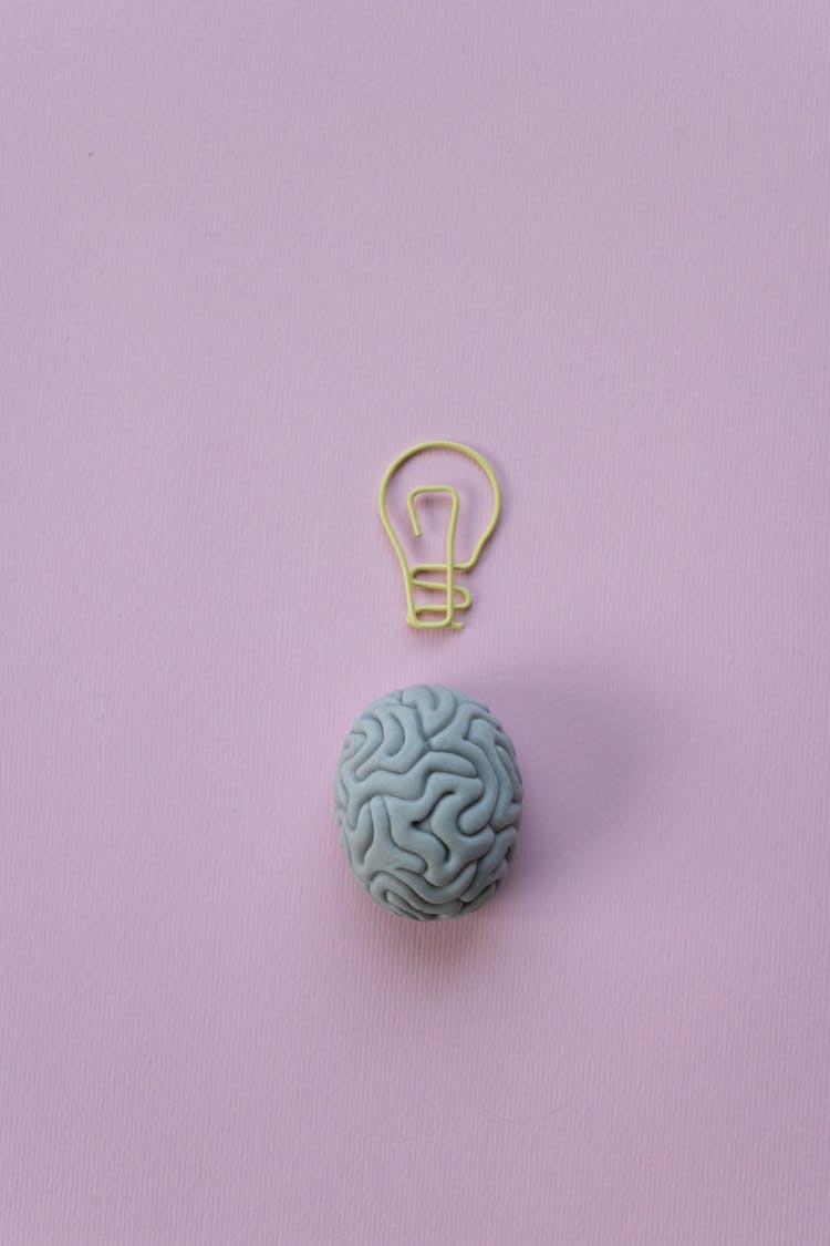 Paperclip In A Shape Of A Light Bulb And A Rubber Eraser In A Shape Of A Brain 