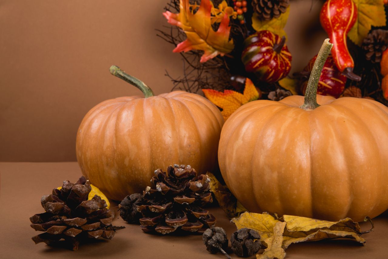 warm autumn themed still life featuring pumpkins and pine cones perfec