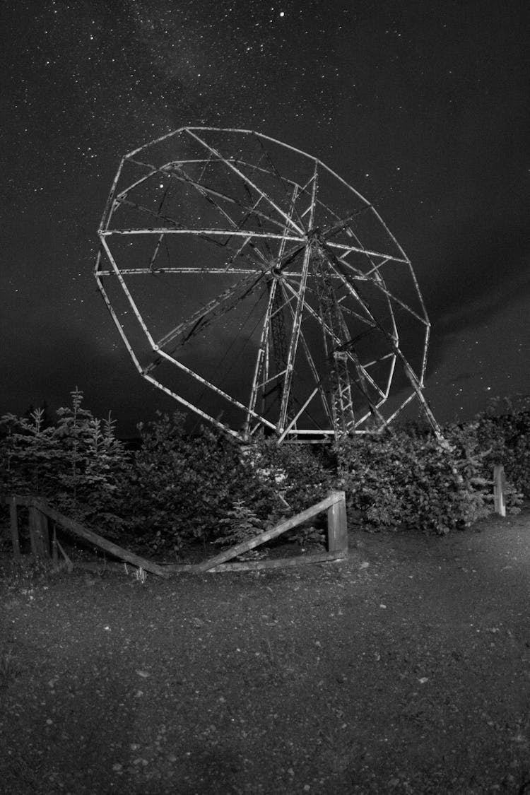 Broken Ferris Wheel Among Plants Under Night Sky