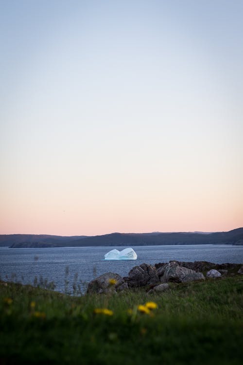 Scenery view of iceberg in sea between ridge and rocky coast with blooming flowers under light sky at sundown