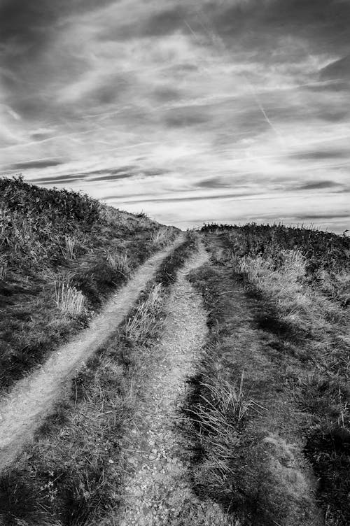 Free Grayscale Photo of an Unpaved Pathway Stock Photo