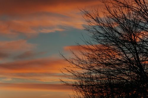 Free Silhouette of a leafless tree against a vibrant sunset sky with orange and blue hues. Stock Photo