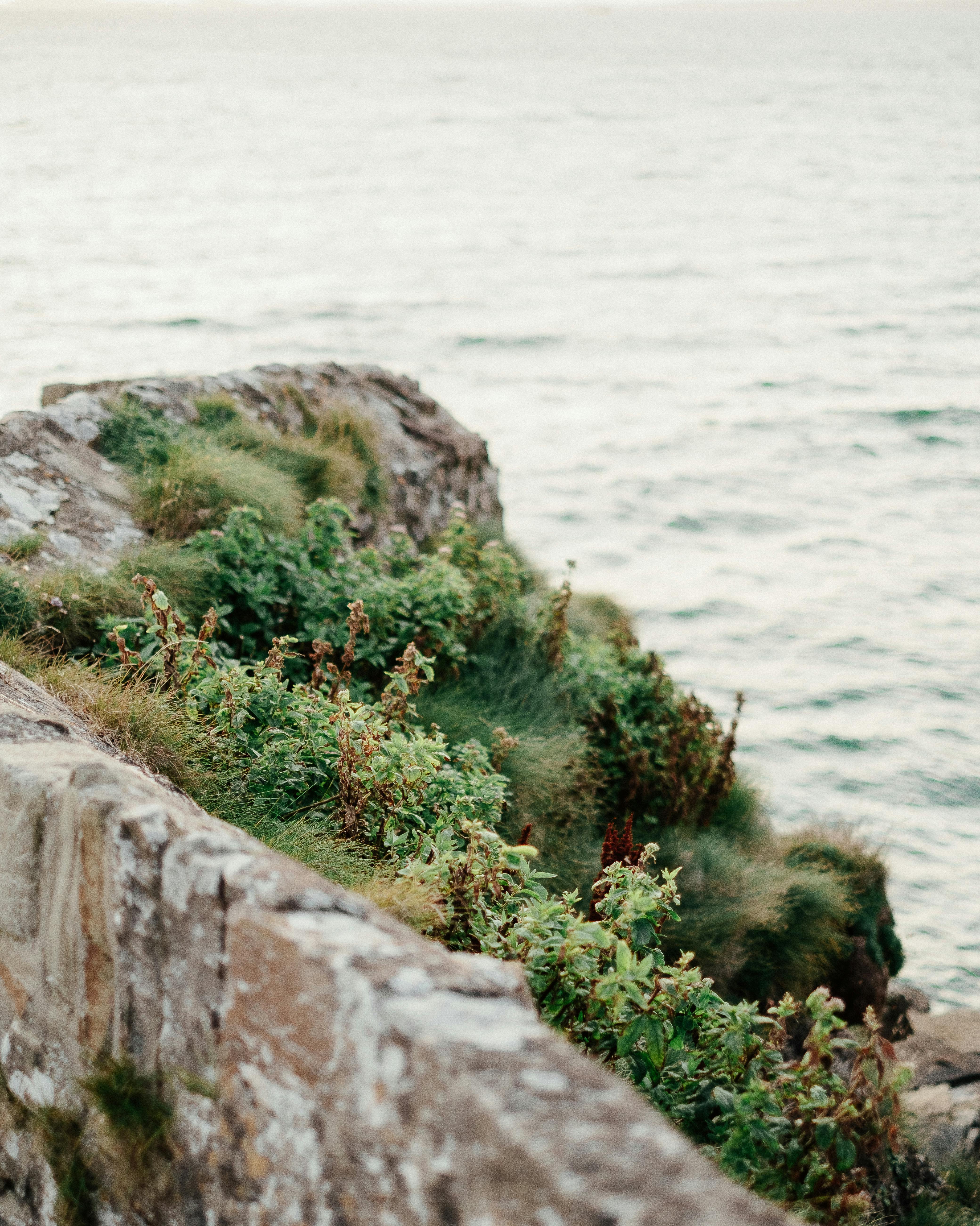 High angle of rocky cliff covered with green plants and moss located on shore of wavy ocean on dull day