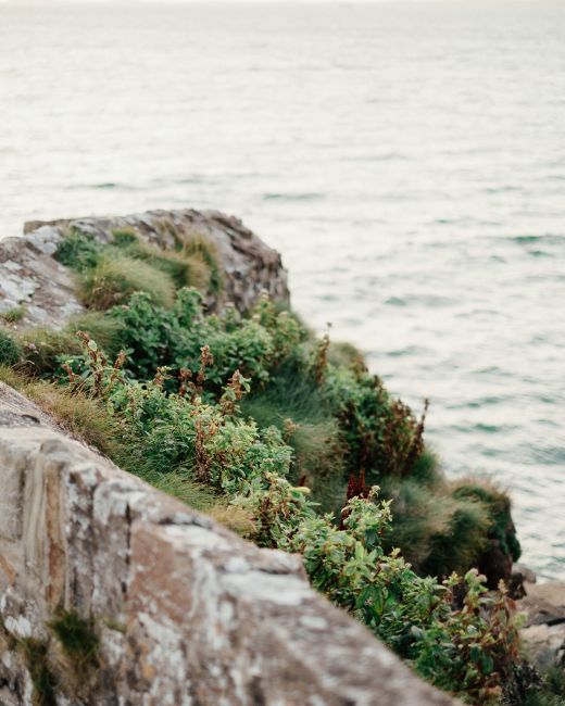 High angle of rocky cliff covered with green plants and moss located on shore of wavy ocean on dull day