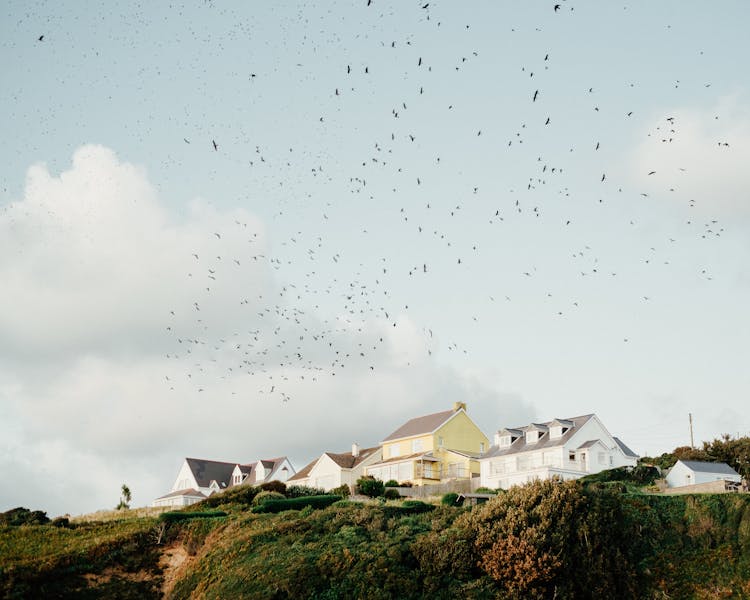 Elegant Residential Cottages Built On Green Rocky Hill Under Cloudy Sky