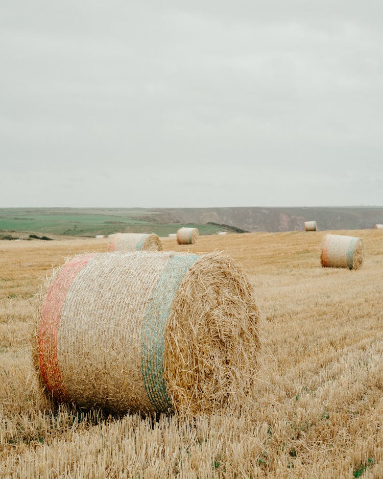 Agricultural Field With Dry Hay Bales Under Dramatic Sky