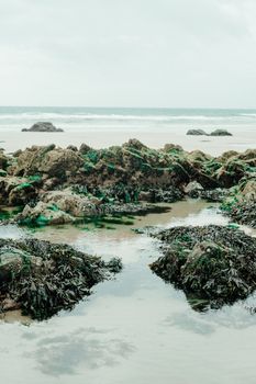 High angle of rocky formations and seaweeds on sandy beach of wavy ocean during low tide against overcast sky. pexels, high, 