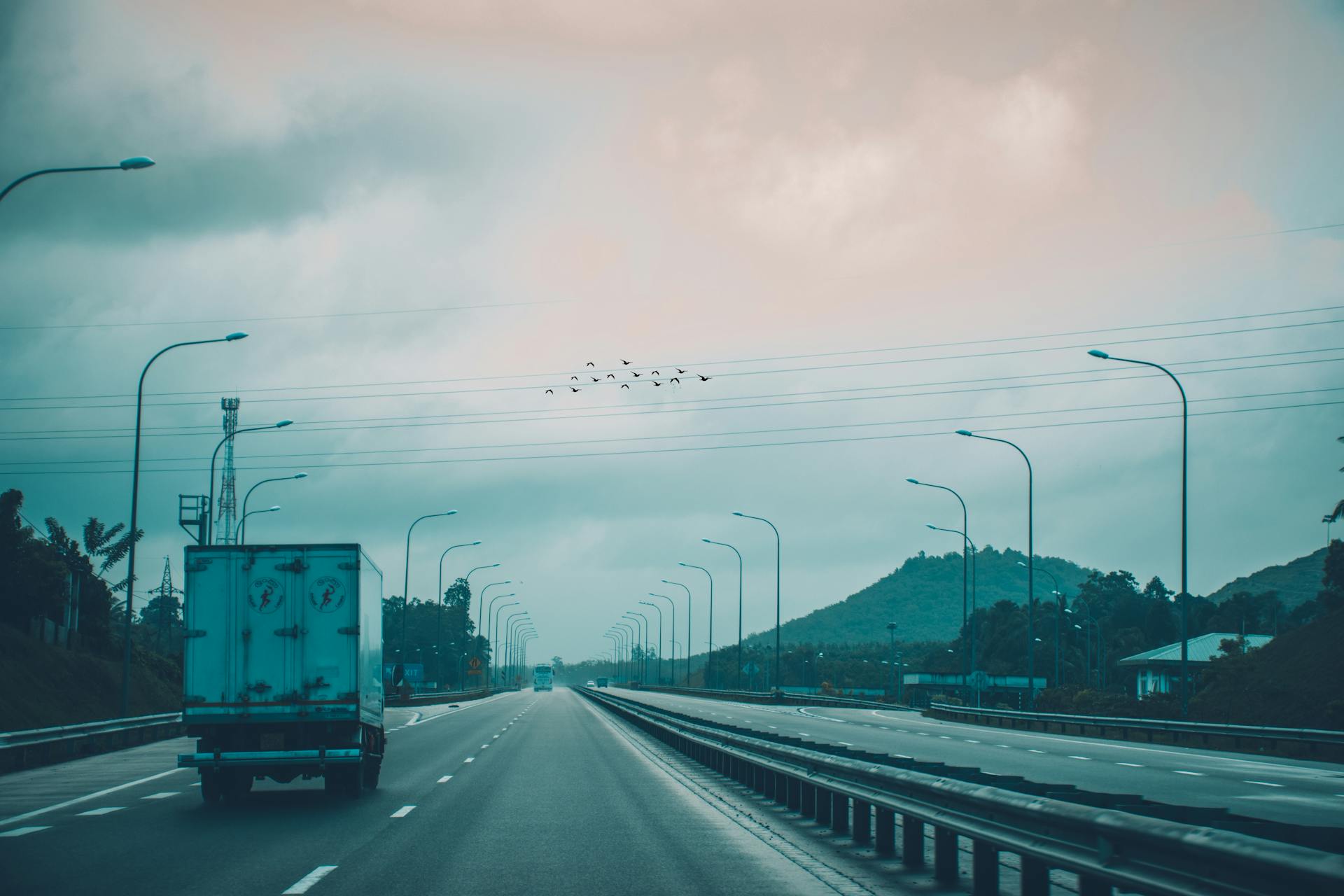 A serene highway view in Sri Lanka with distant hills and a flock of birds overhead.