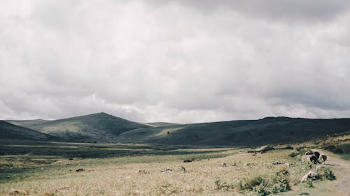 Hilly terrain with dry grassy meadow against cloudy sky