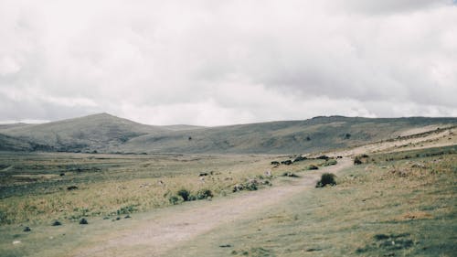 Cloudy sky over mountainous countryside with dry grassy meadow