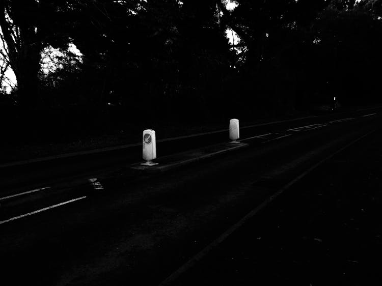 Empty Road With Signs Near Trees