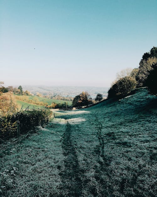 Picturesque scenery of empty narrow pathway in green field surrounded by trees placed in countryside under cloudless blue sky in daytime