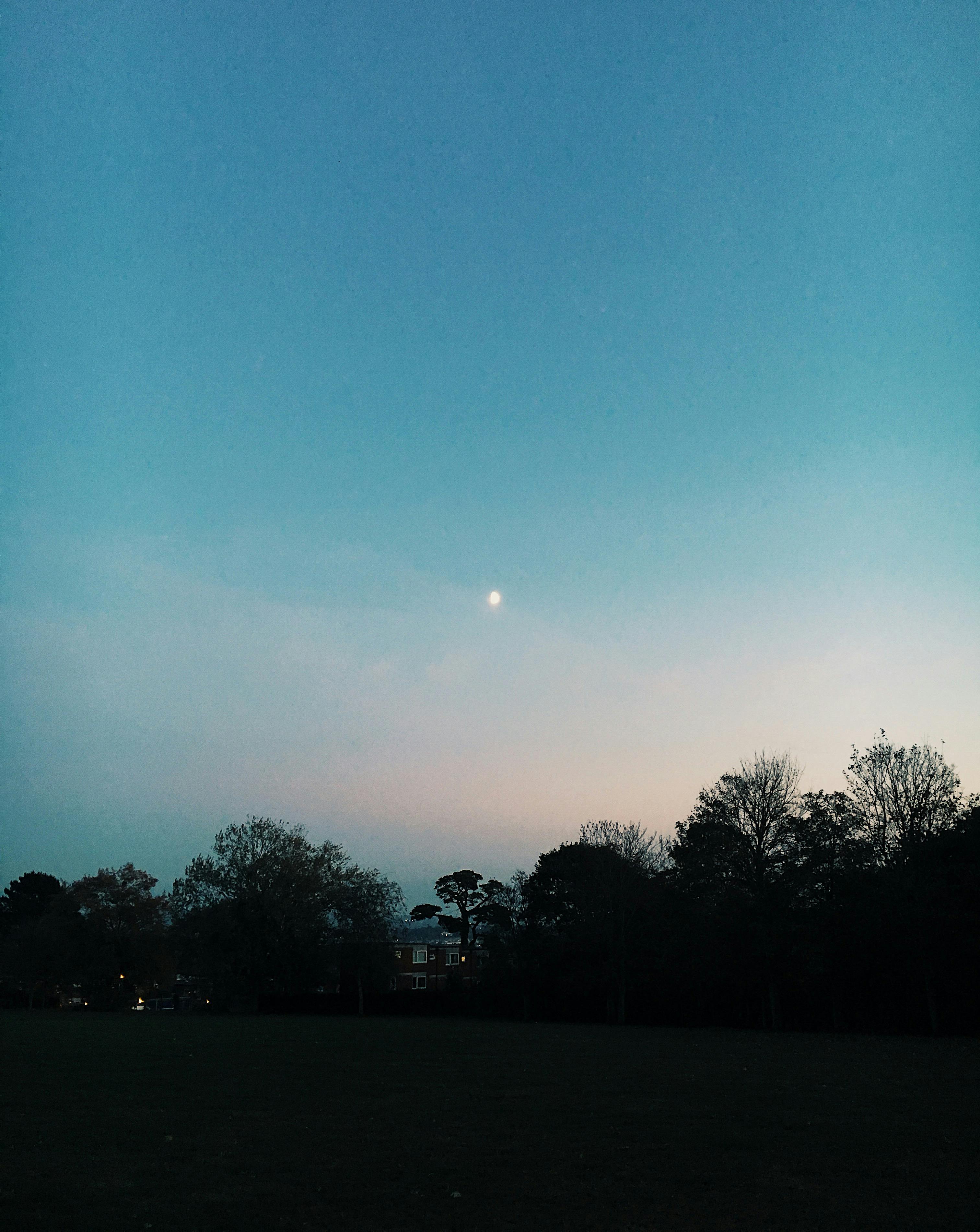 8,000+ Best Moon Images · 100% Free Download · Pexels Stock Photos