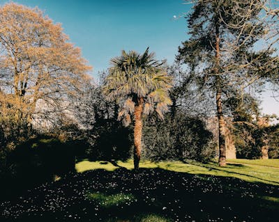 Corporate gift bundles with custom branding