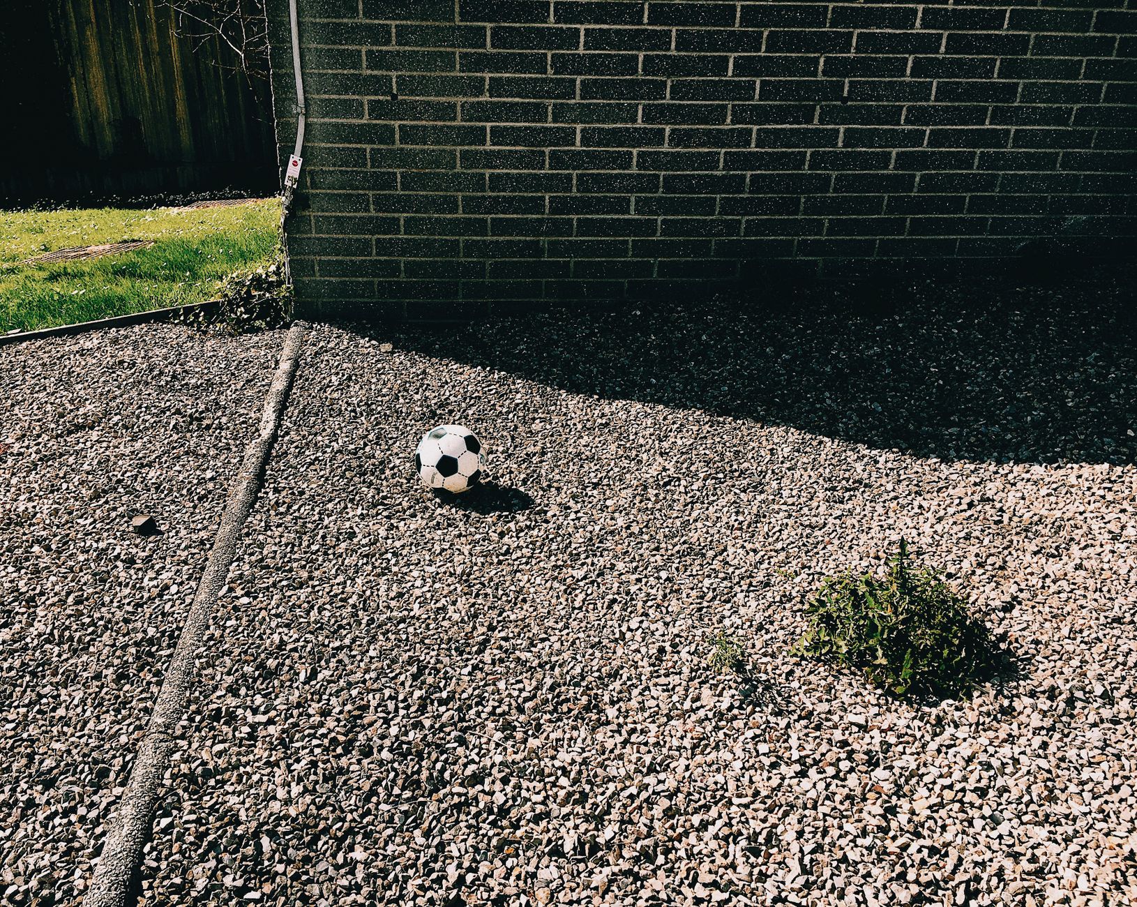 DOT-koepel wordt grootste voetbal van Europa voor WK