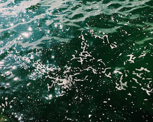 Rippling seawater with foam in sunny weather