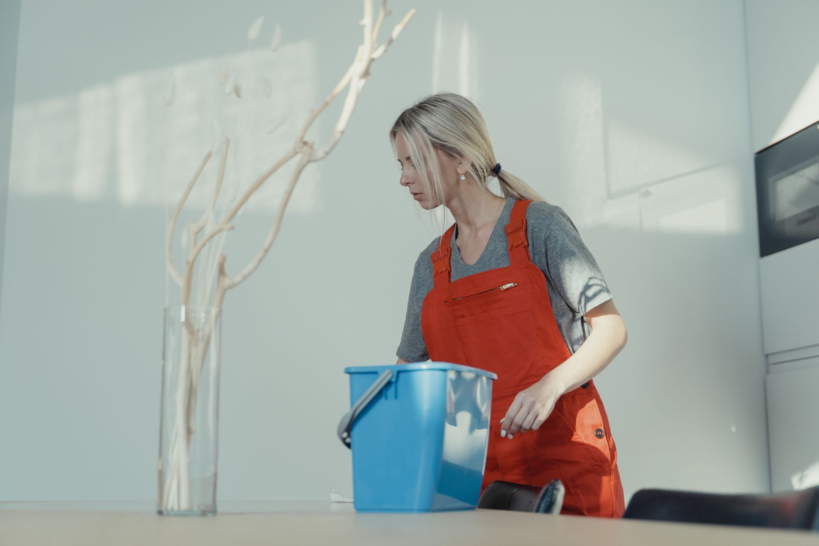 Professional home cleaning service — Google Business Profile Setup for Veterinarian North Miami