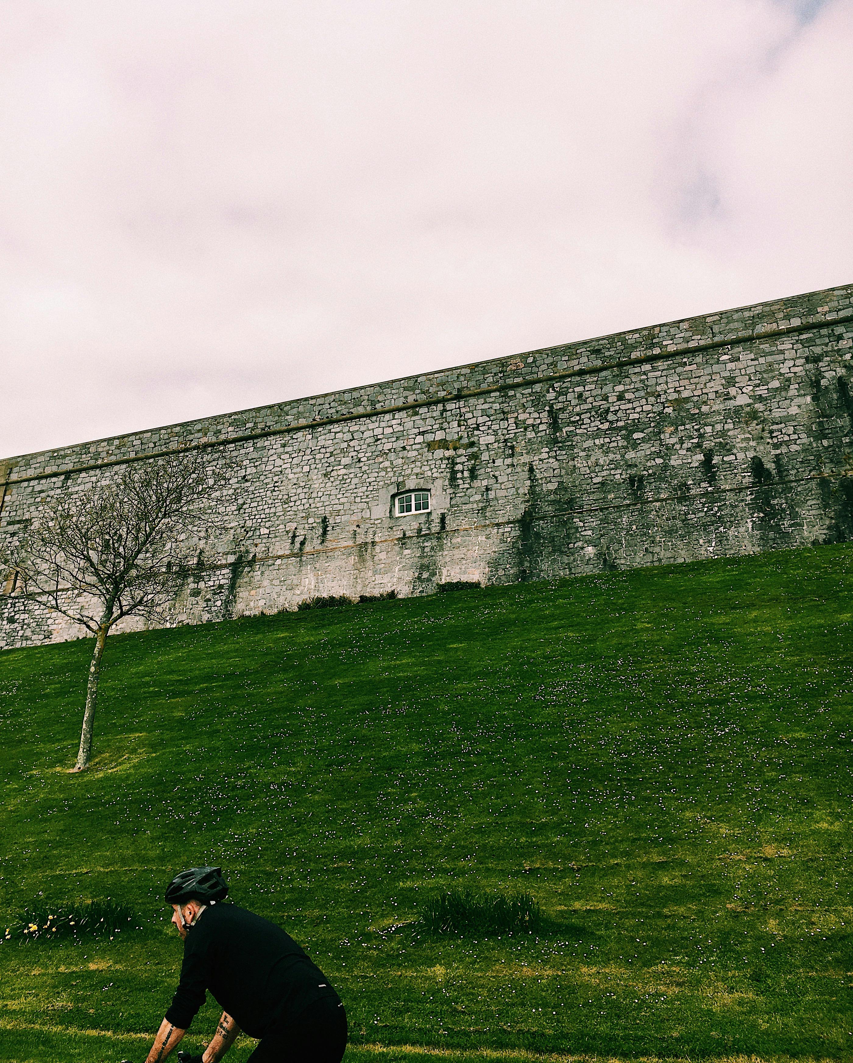 Photo by Harry Cooke