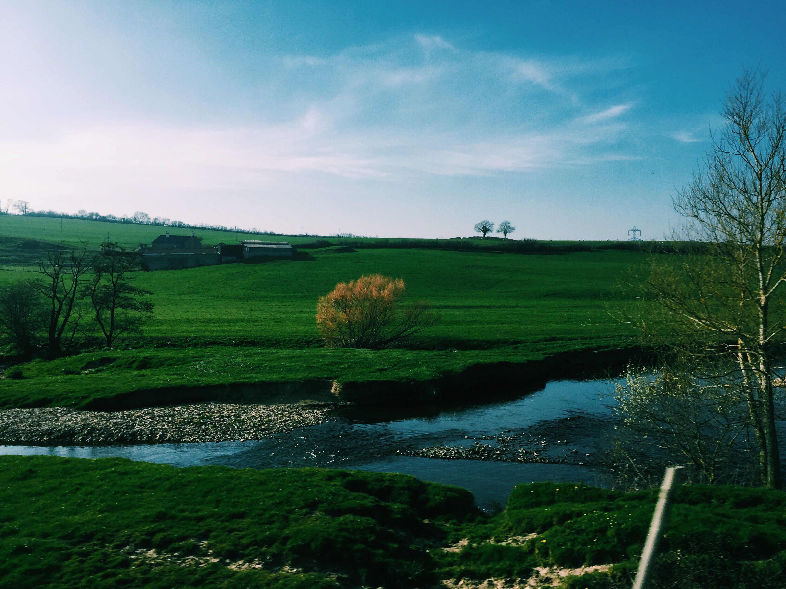 Grassy fields near river and trees in countryside · Free Stock Photo