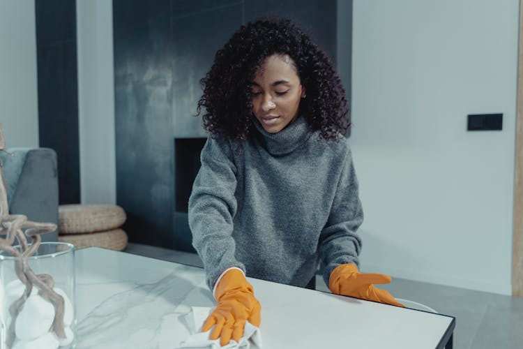 Woman Cleaning The House