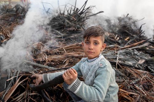 Free Young boy amidst smoky burnt wood outdoors in Türkiye. Stock Photo
