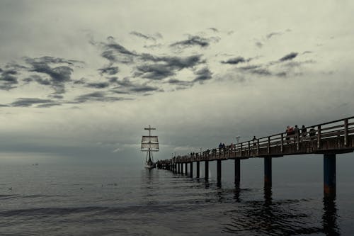 Brown Wooden Dock on Sea