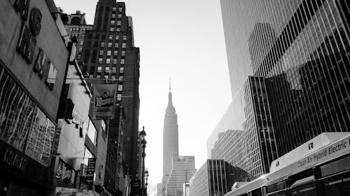 Grayscale Photo of City Buildings