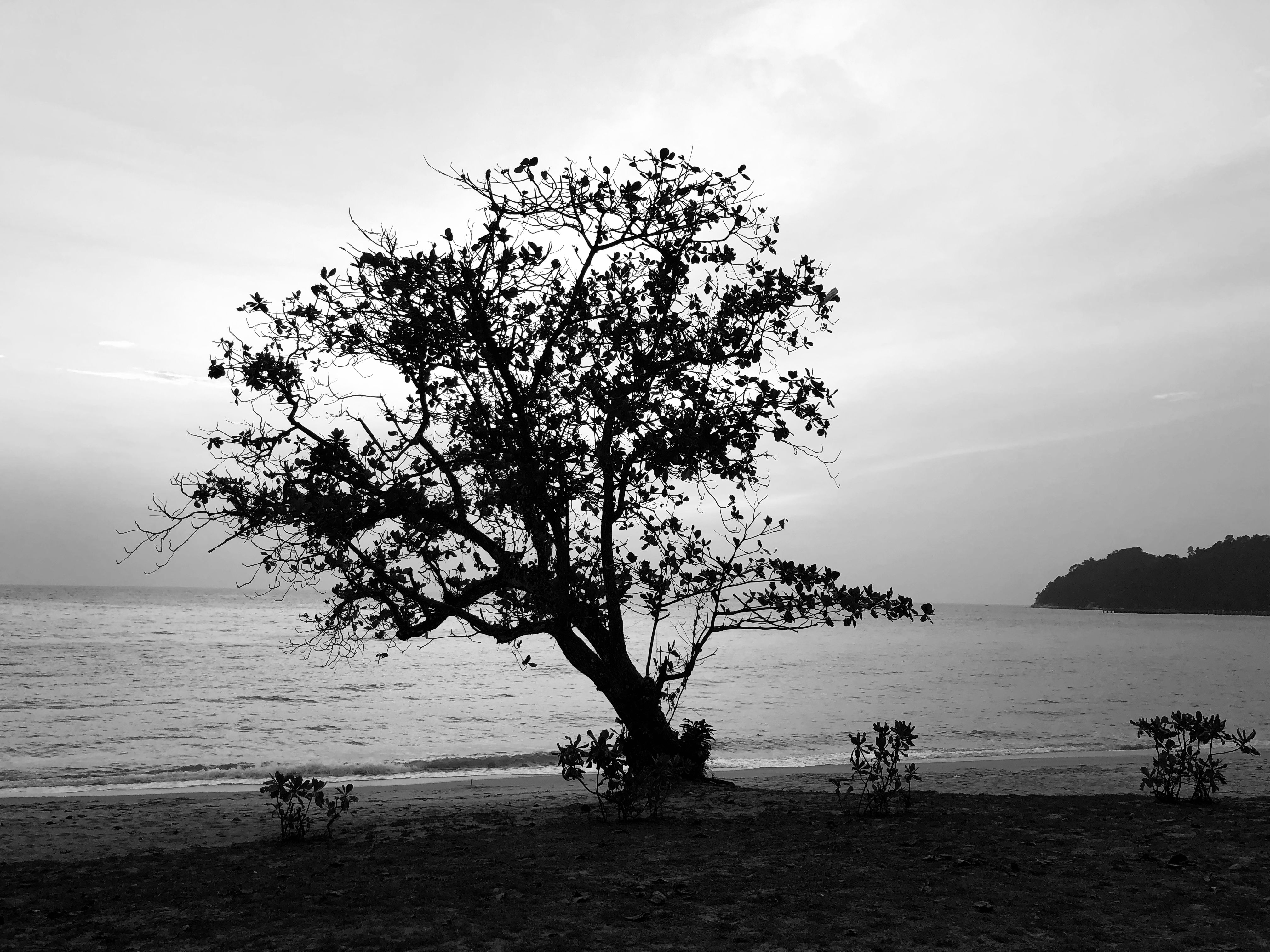 Kenapa Pulau Pangkor? Lebih dari Sekadar Pantai Biasa!